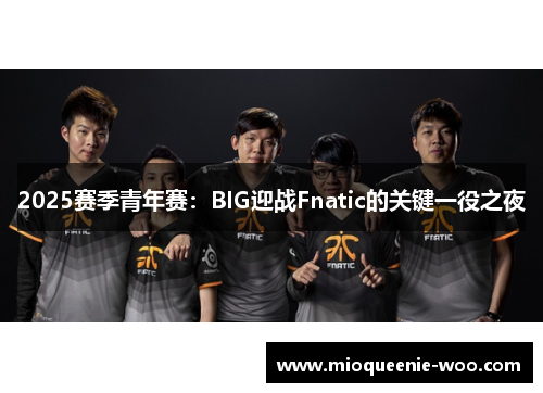 2025赛季青年赛：BIG迎战Fnatic的关键一役之夜
