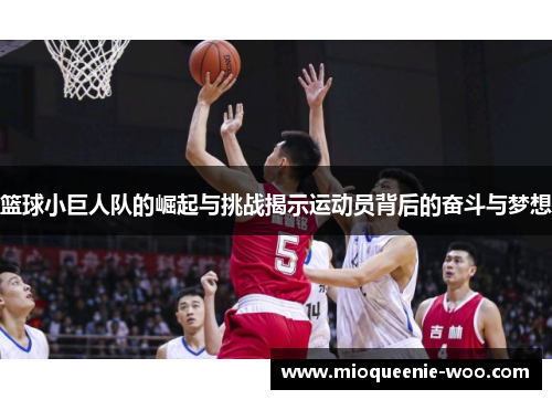 篮球小巨人队的崛起与挑战揭示运动员背后的奋斗与梦想
